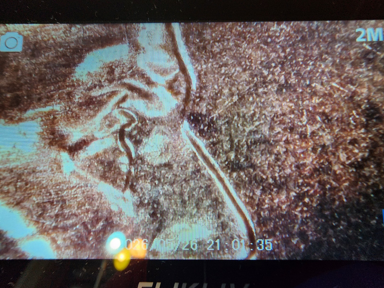 2009 Lincoln Bicentennial Formative Years Variety Small Cent Rim Error/DDO