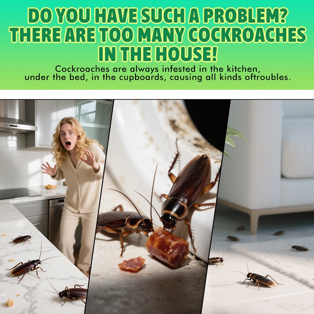 12 Pack Roach Killer, Roach Bait Powerful Cockroach Traps Infestation Control