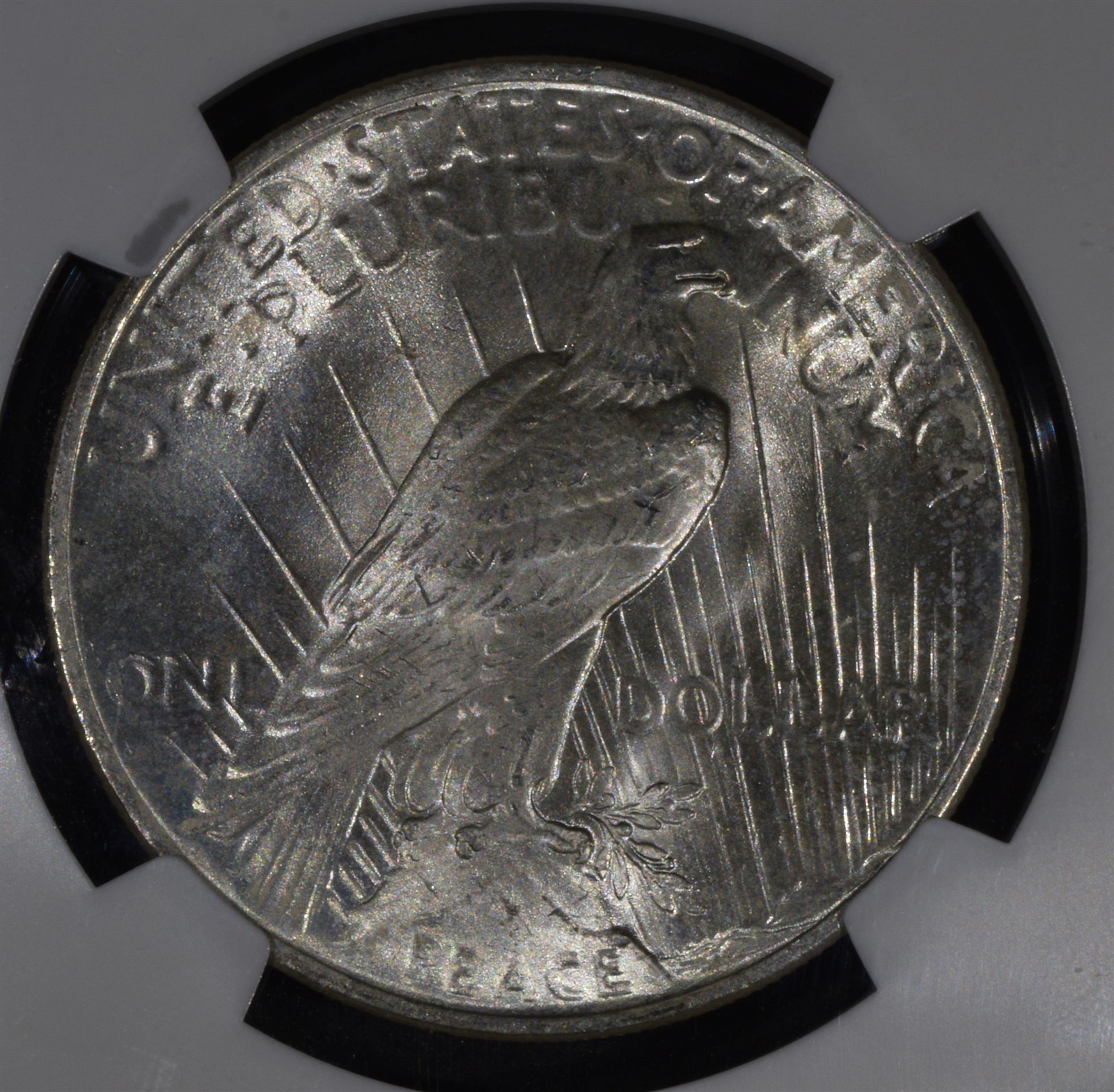 1923 Peace Silver Dollar "NGC MS64"