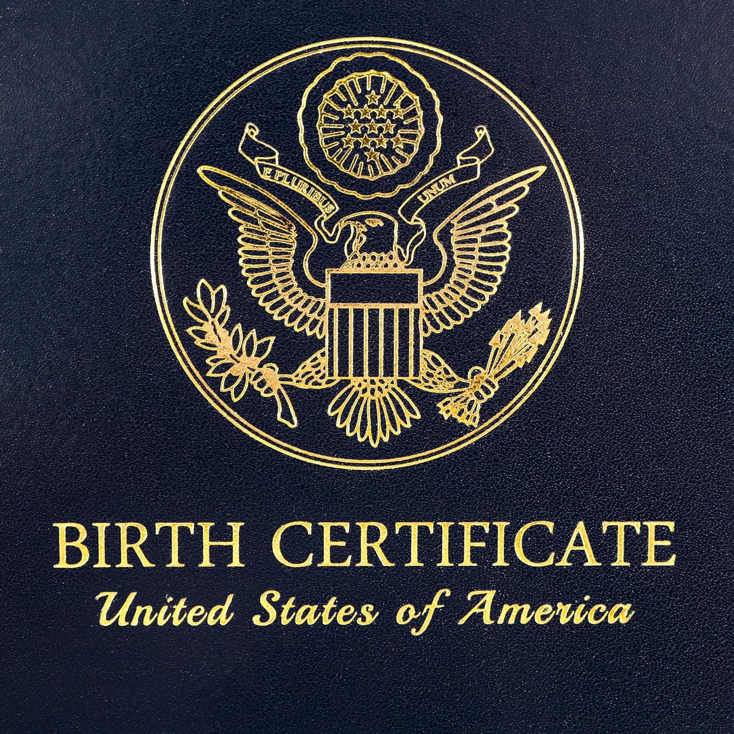 US Birth Certificate Holder 8.5X11 Birth Certificate Cover Protector with Logol