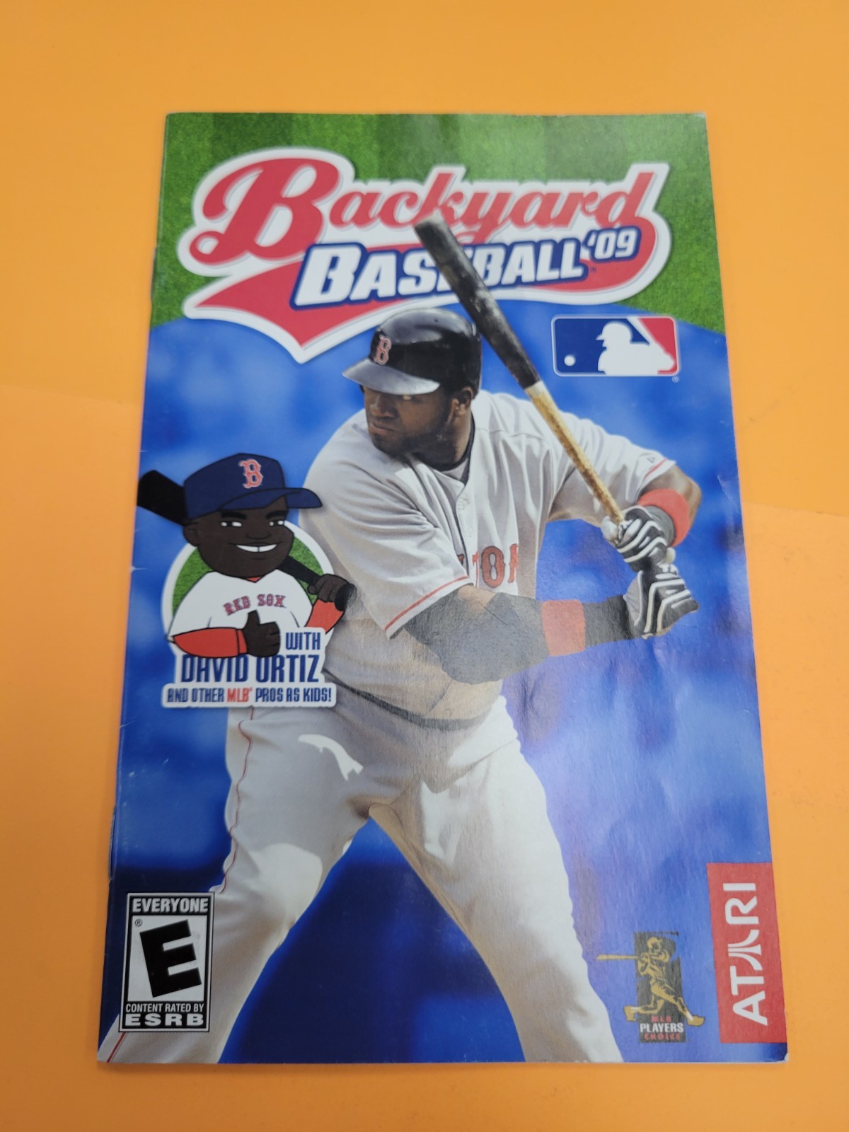 (Manual Only) Backyard Baseball 09 - Sony Playstation 2