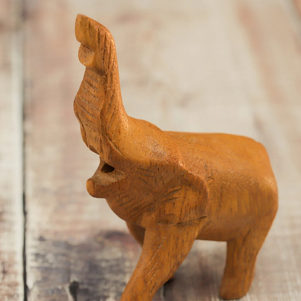 Noisy Elephant Whistle
