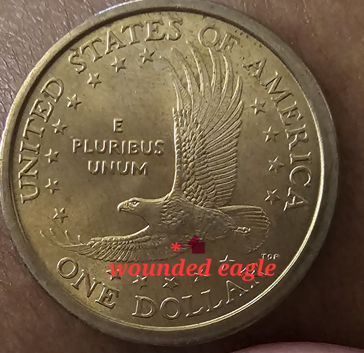2000-P Sacagawea Error Dollar "Wounded Eagle" FS-90 Nice Coin Collectors Item