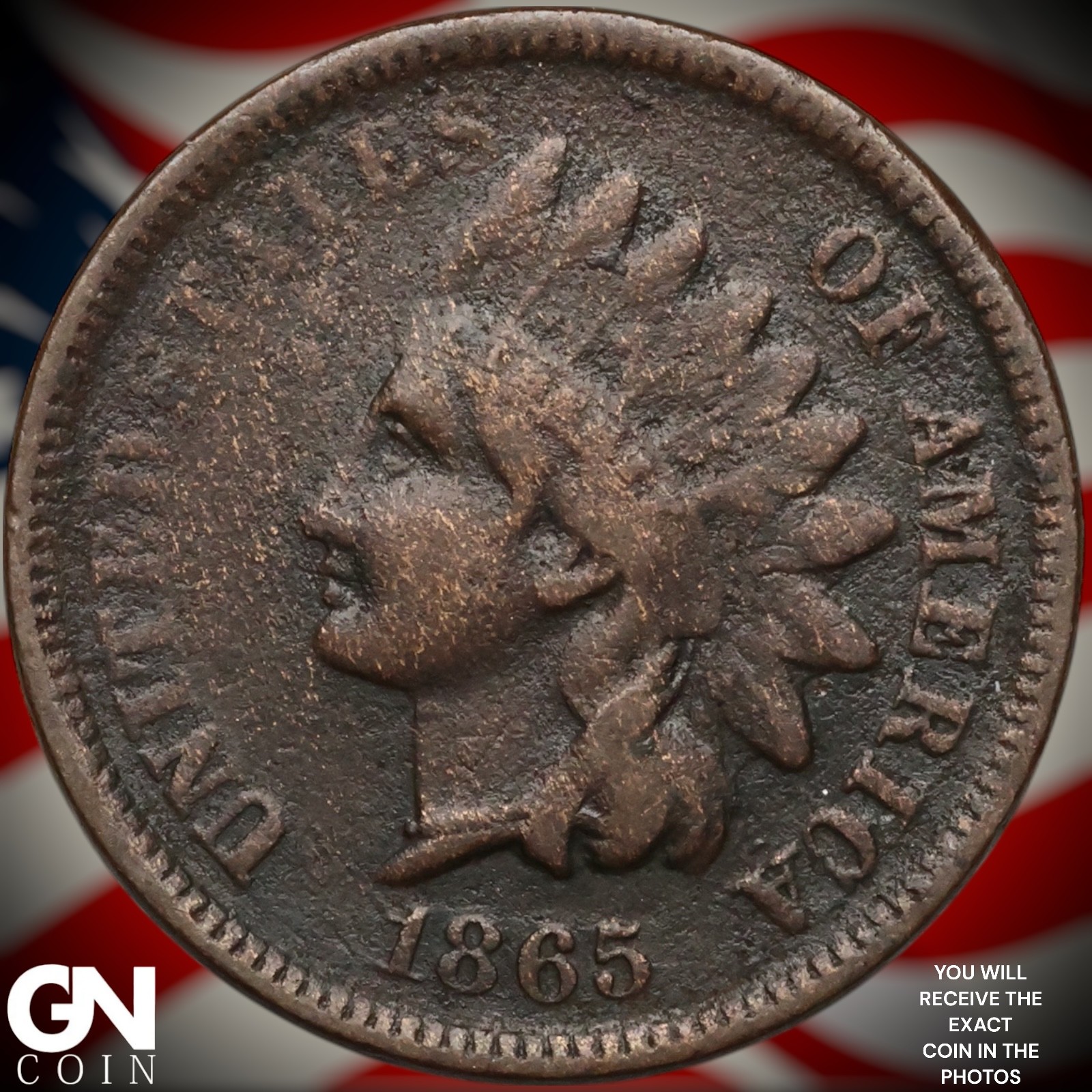 1865 Indian Head Cent Penny B1123