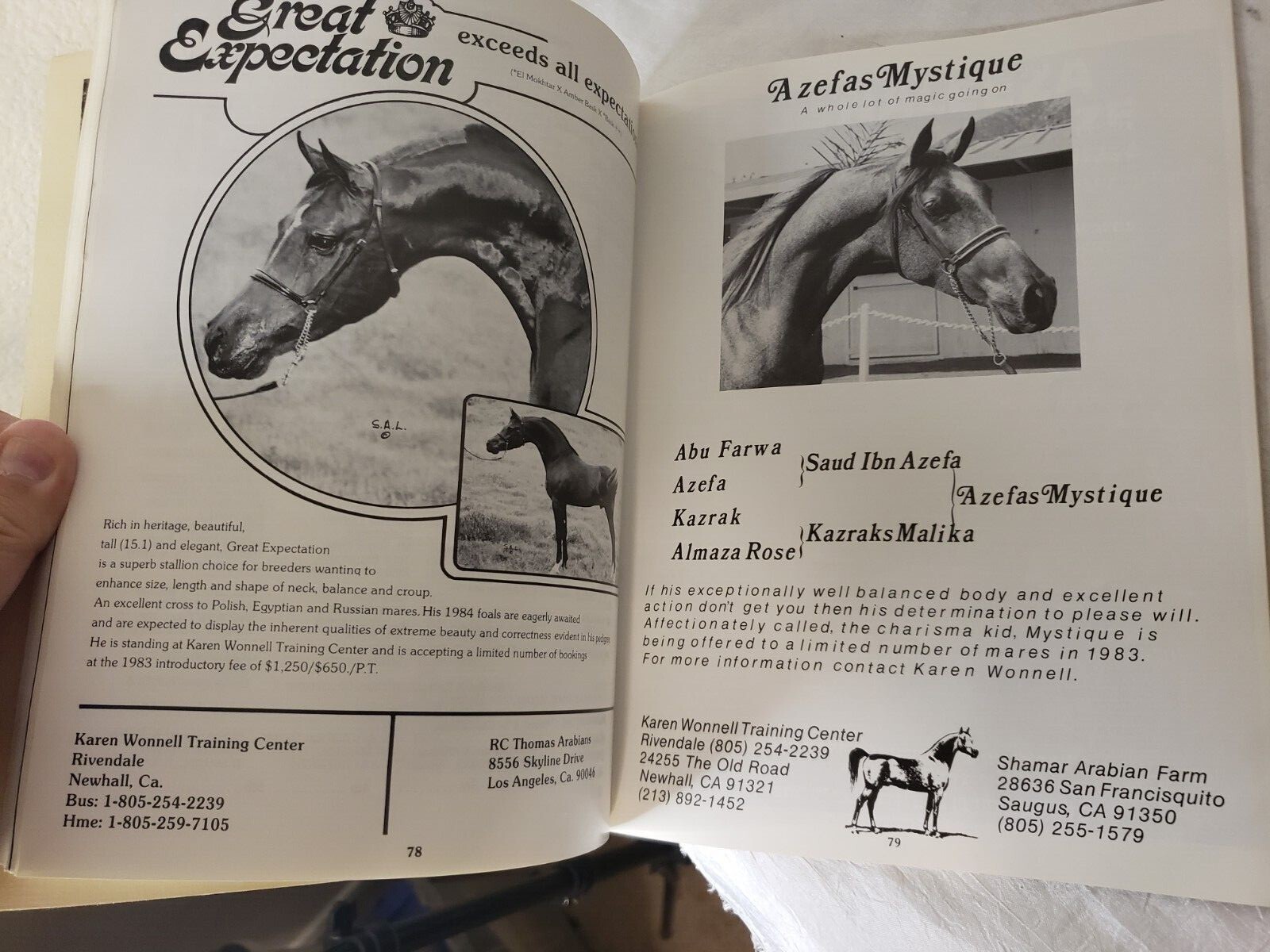 1983 All Arabian Horse Show Santa Barbara, CA San Fernando Valley