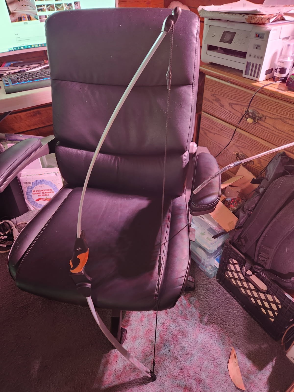 barnett lil'Phonenix bow