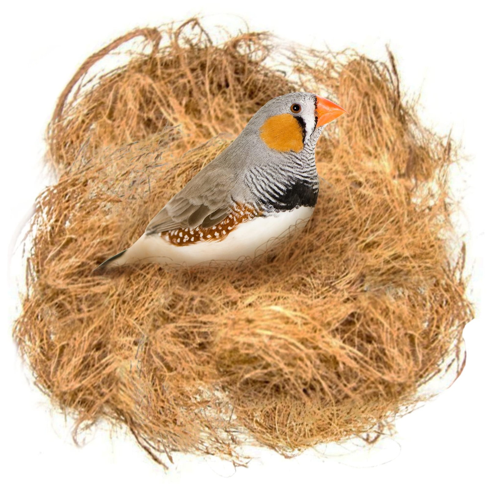SunGrow Finch Coconut Fiber, Loose Bedding Substrate 3 Ounce, Fiber
