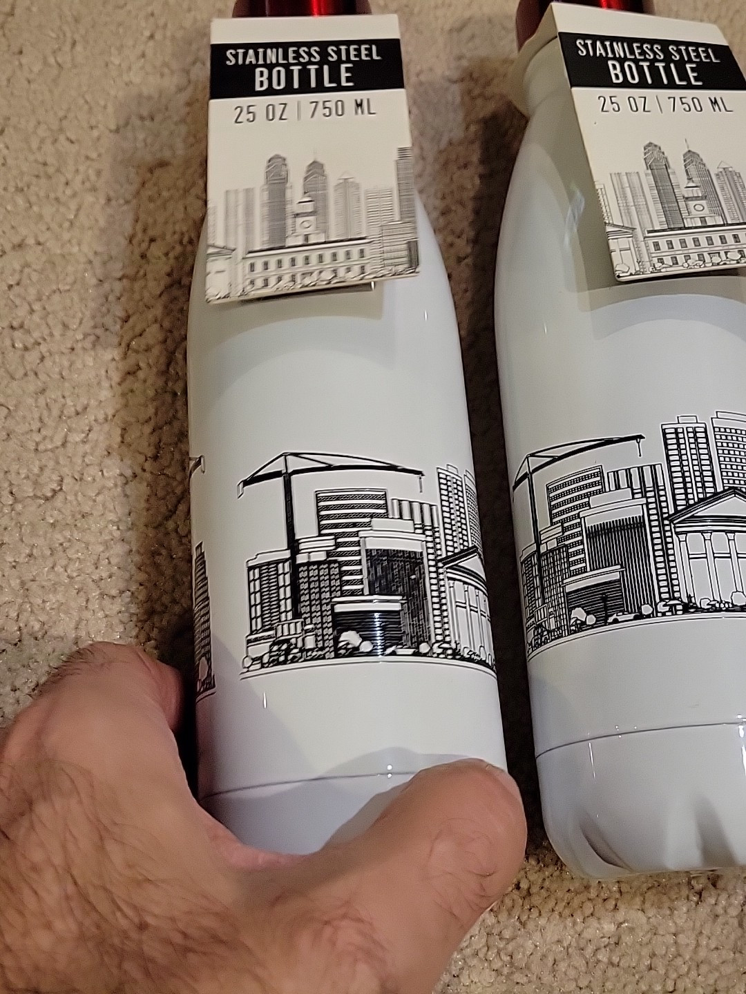 2 STAINLESS STEEL 25 OZ SKYLINE BOTTLES