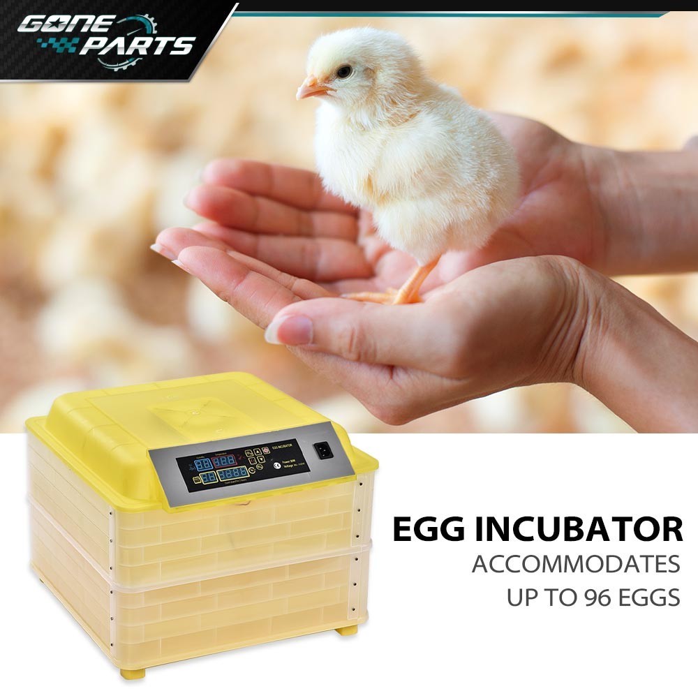 New Digital Hatcher Breed Warmer Auto Temperature Control 96 Grid Incubator