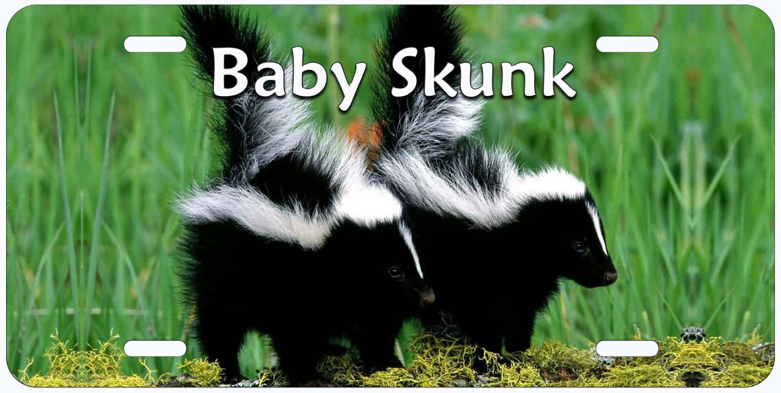 Baby Skunk Personalized Novelty Car Auto License Plate Any Name