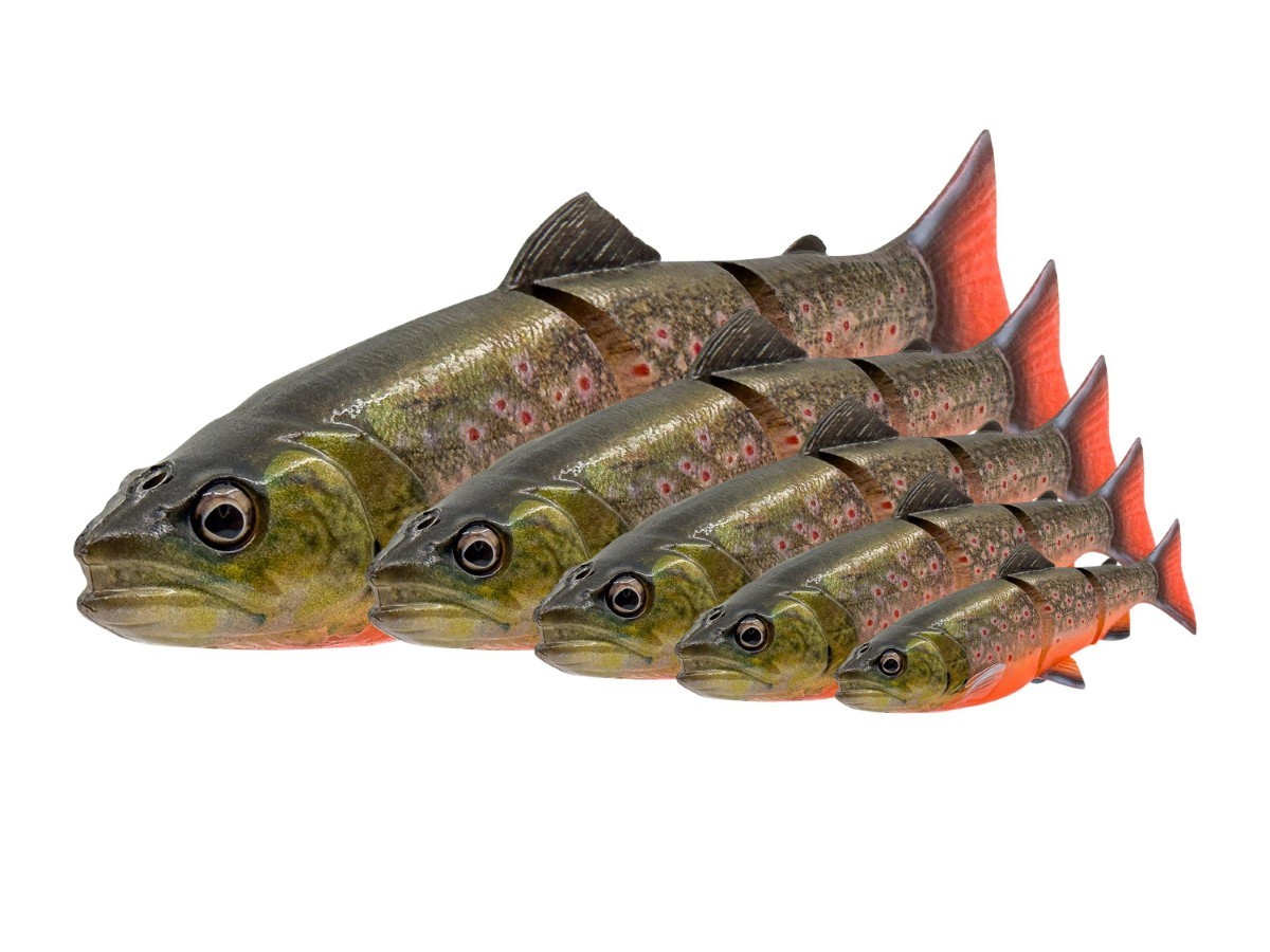 NEW 2026 Savage Gear 3D Line Thru Trout 25cm 180g SS Lure Soft Bait Pike COLORS