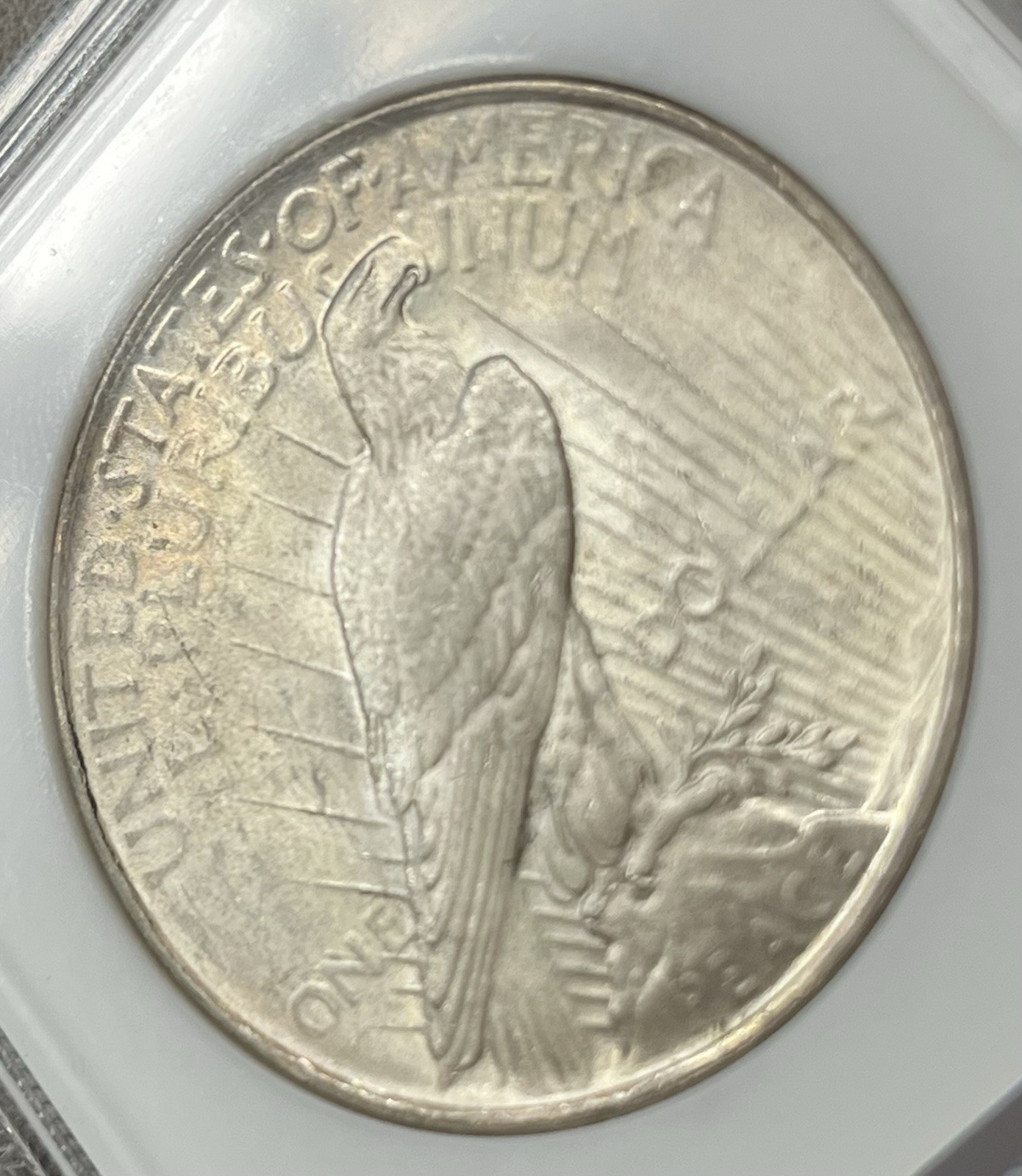 Old NGC Fatty Holder MS64 1922-P Peace Silver Dollar