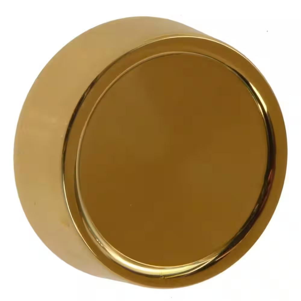 Dimmer Knob Wall Plate Brass
