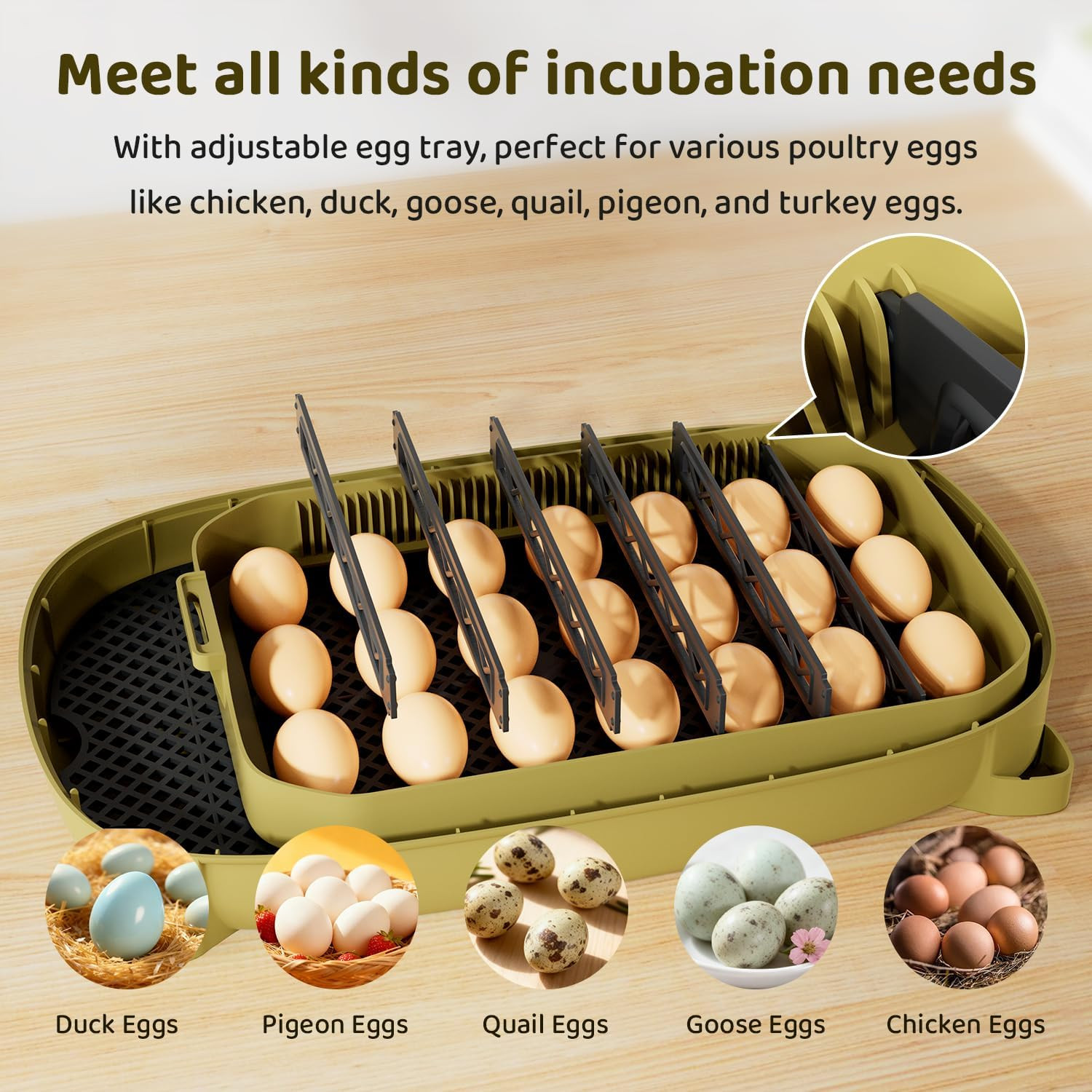 24-Egg Digital Incubator - Automatic Temperature and Humidity Control, LED Displ