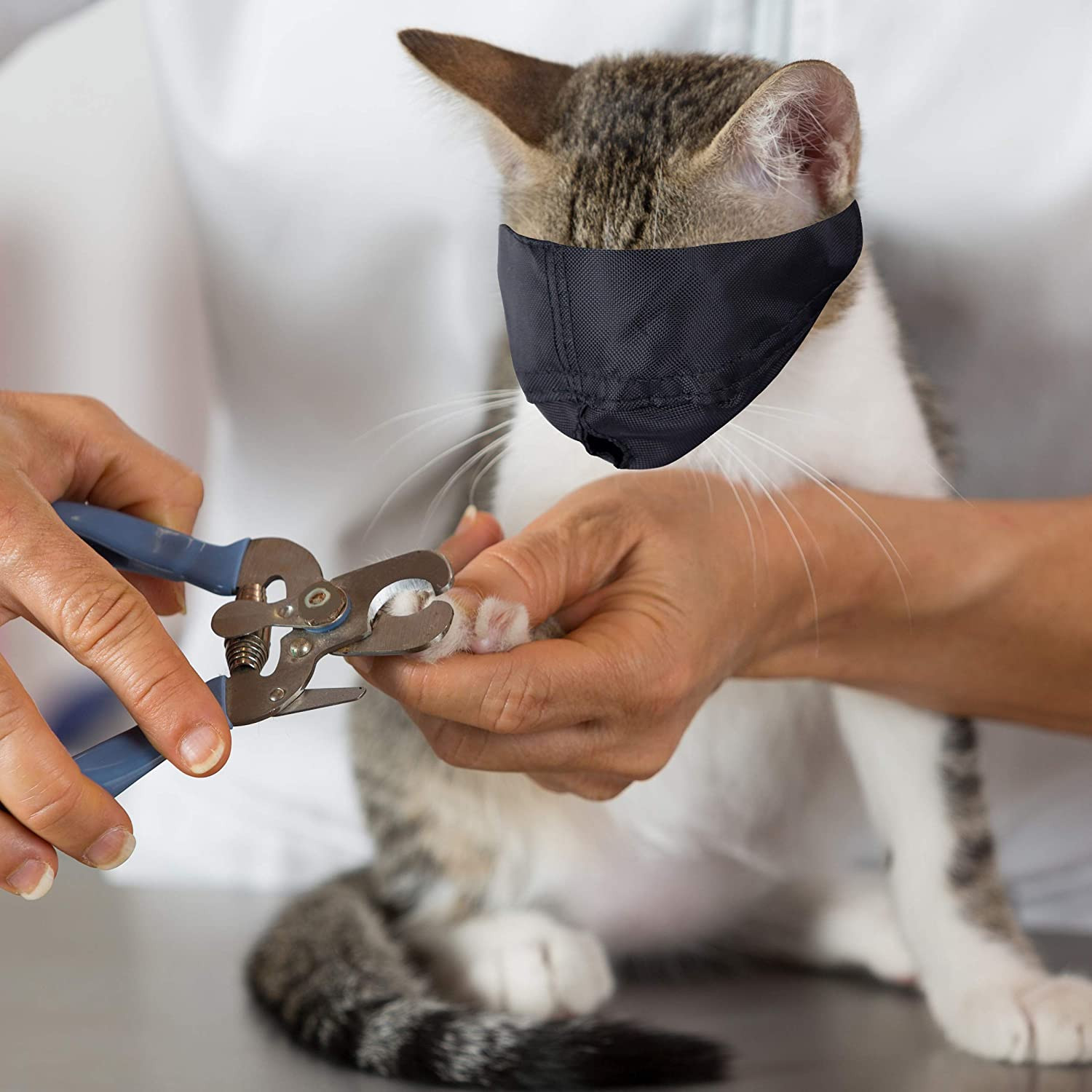 Downtown Pet Supply - Cat Muzzle for Grooming - Gentle and Soft Muzzle - Cat Gro