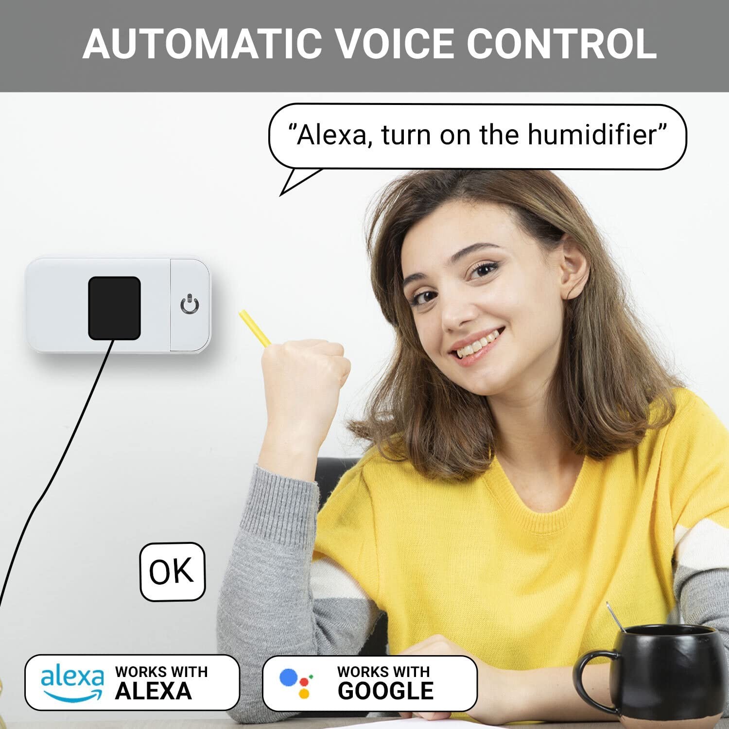 Wi-Fi Smart Plugs - 2 Pack with Auto Timer & Group Control Functionality
