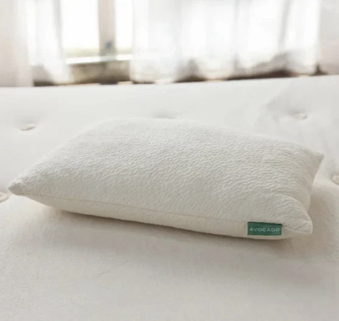 Avocado Organic Pillow with Natural Latex and Kapok Fill- Standard