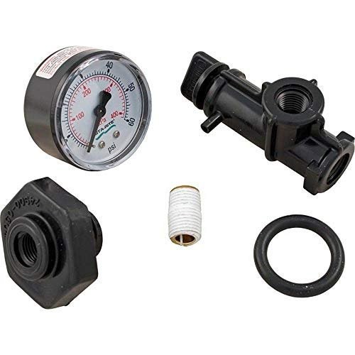 Pentair 24850-0105 Valve and Gauge Assembly Replacement for Select Sta-Rite...