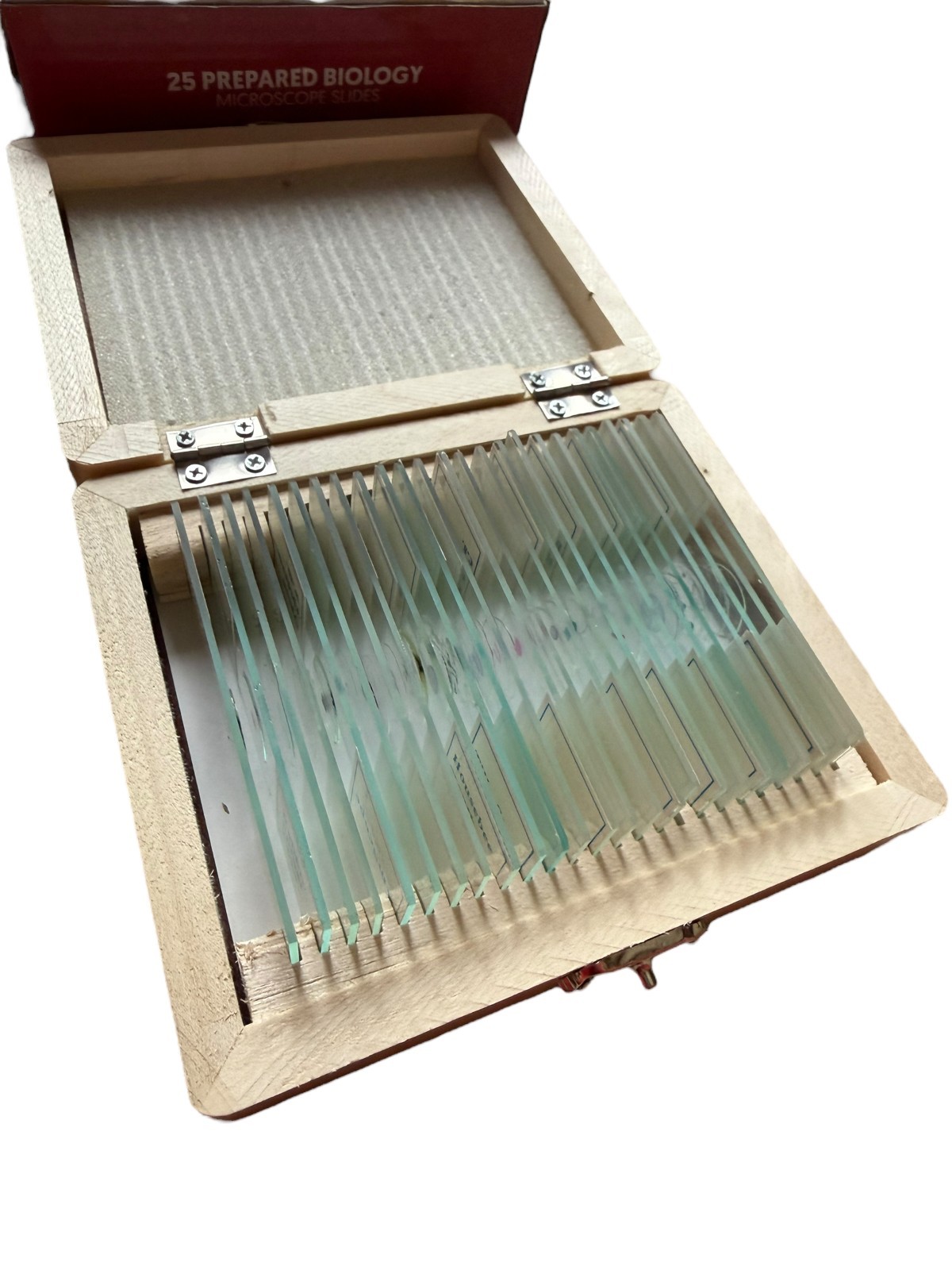 AmScope 25 Prepared Biology Microscope Slides Etymology Hematology NEW Box FF4