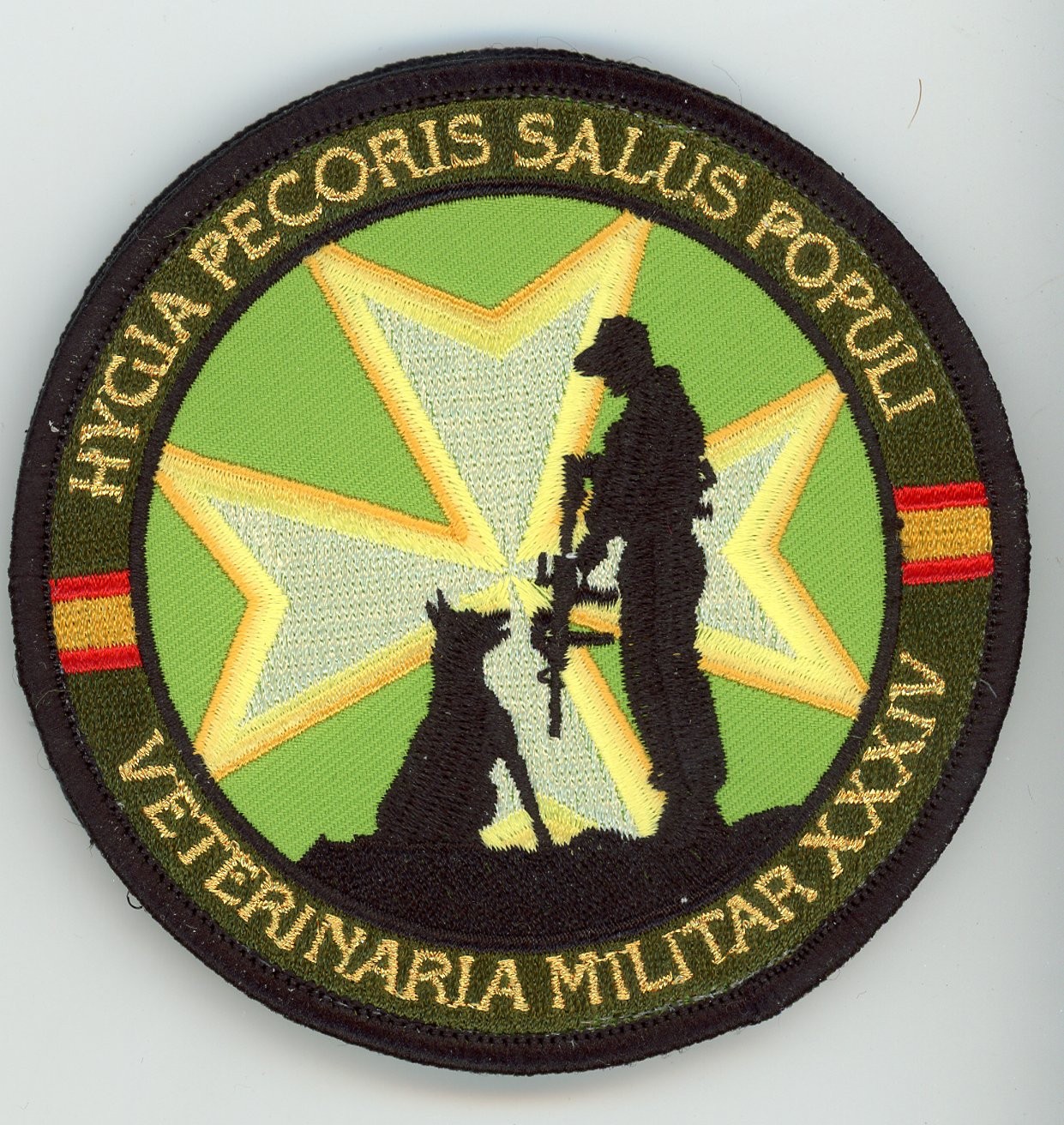 PATCH SPAIN  ARMER FORCES MILITARY VETERINARIAN CLASS XXXIV  VEL BACK  VEL BACK
