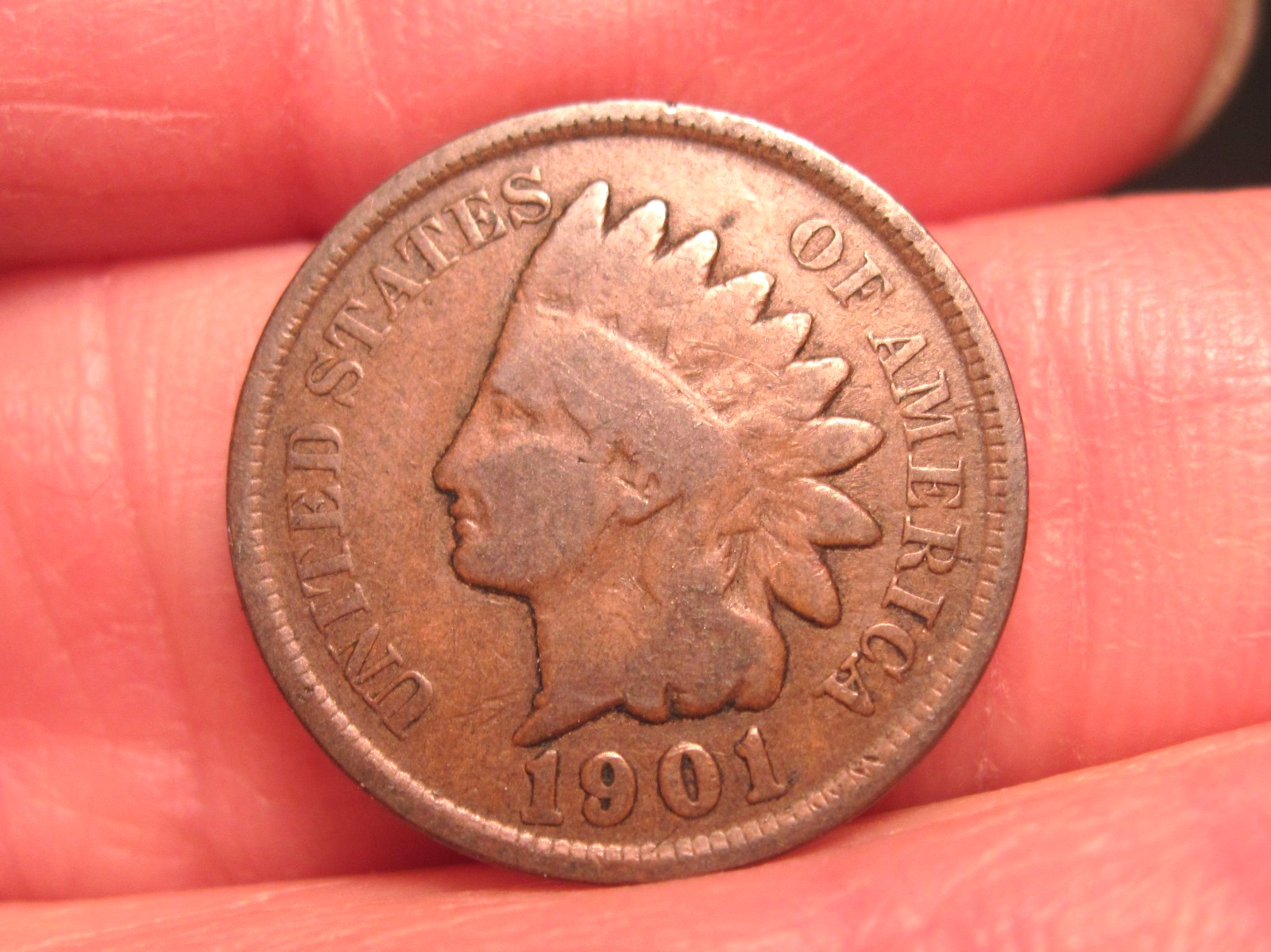 1901 INDIAN HEAD CENT/PENNY,  FREE SHIPPING  (#280E)