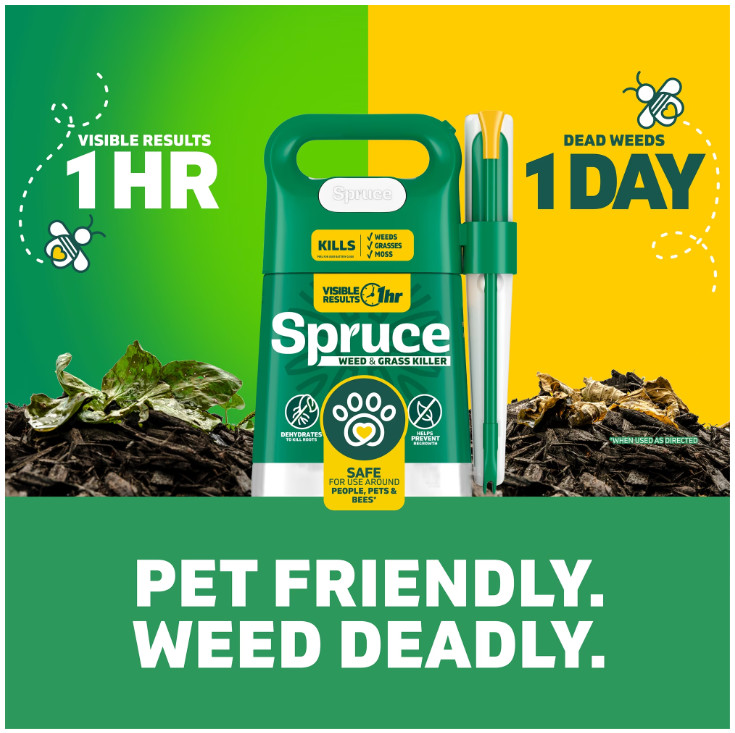 Spruce Weed and Grass Killer Power Spray Starter Kit, 64 oz