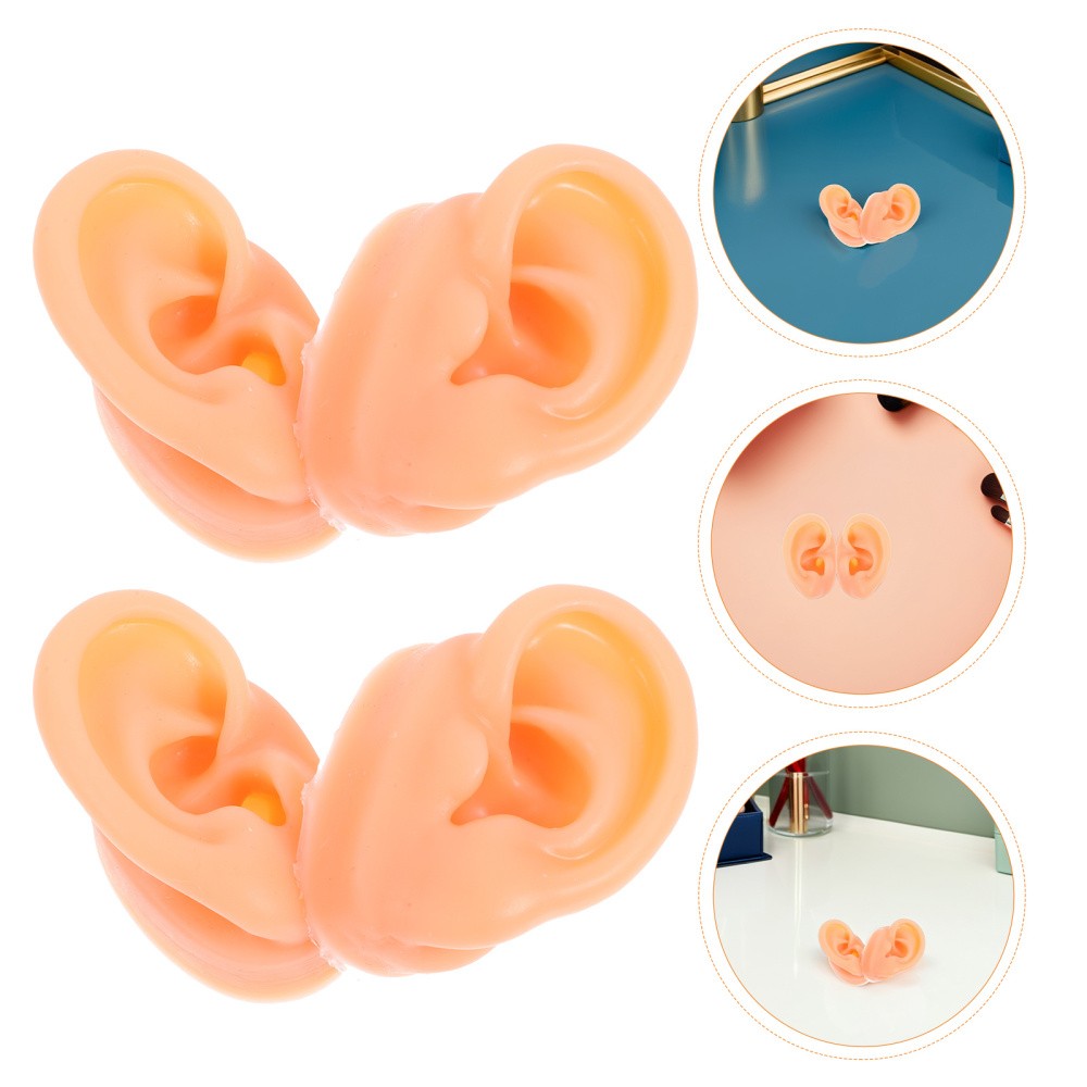 2 Pair Piercing Ear Model Human Anatomy Fake Display Mold Earpiece