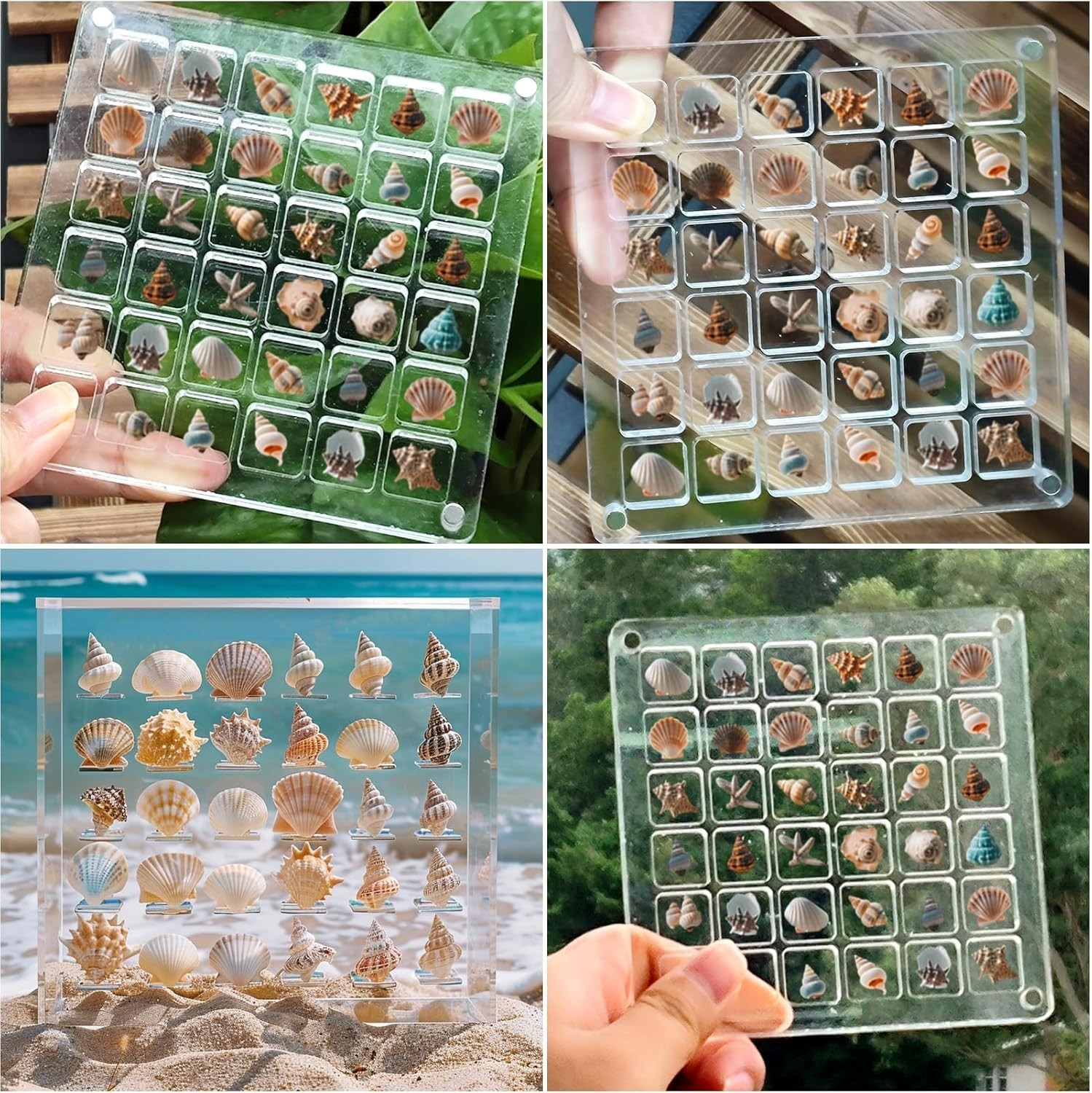 Clear Acrylic Magnetic Seashell Display Box Beach Shell 36 Grid Storage Case NEW