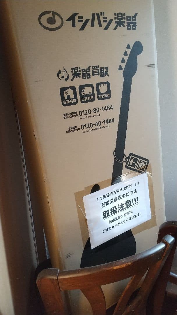 Epiphone Firebird Safe Packing!