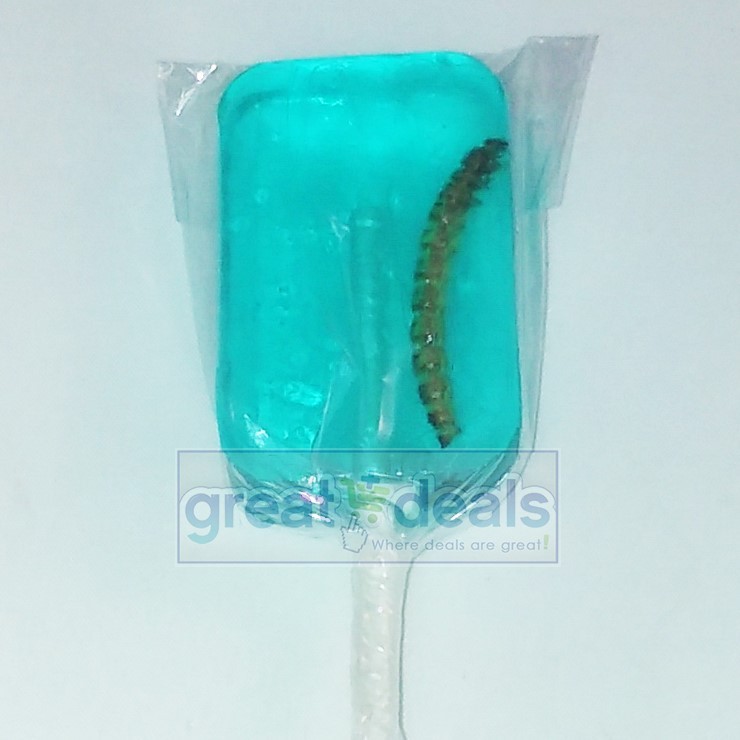 (1) Blueberry Flavor Worm Sucker Hotlix Sugar Free Lollipop Candy Real Insect