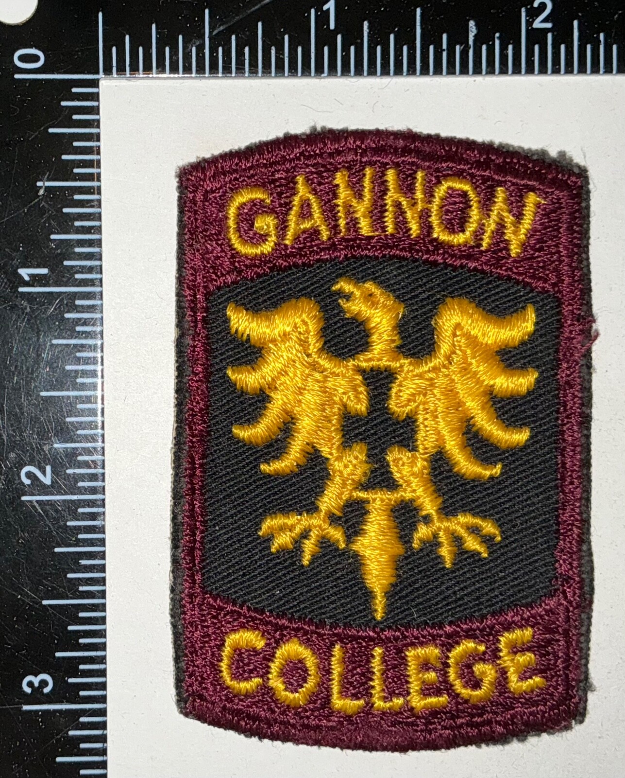 Gannon College Army Reserve Officer Training Corps ROTC Patch