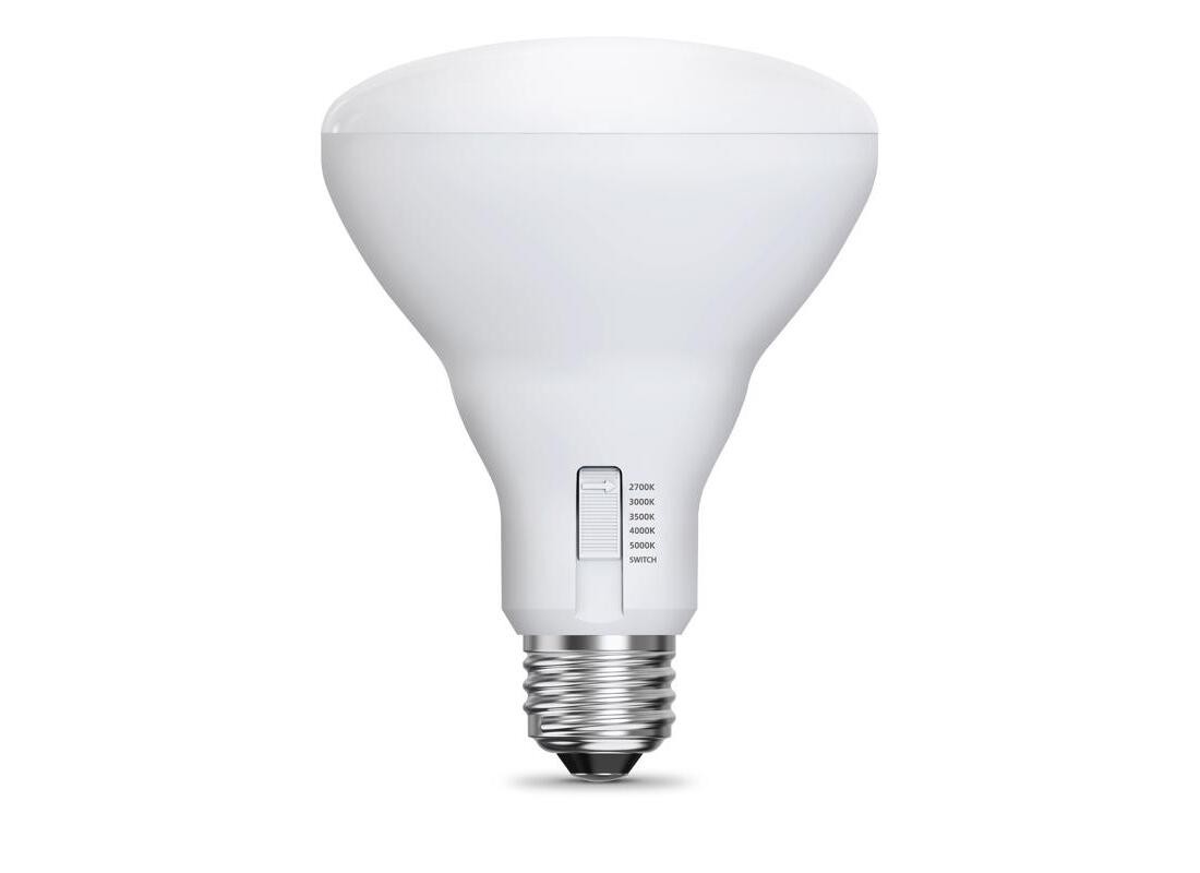 LED Bulb BR30 E26 (Medium) Adjustable White 100 Watt Equivalence White