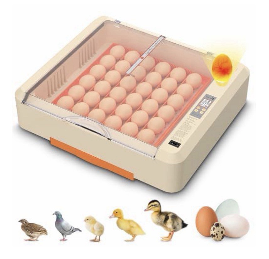 Egg Incubator with Auto Turning and Humidity Control, 36-60 Eggs Hatcher