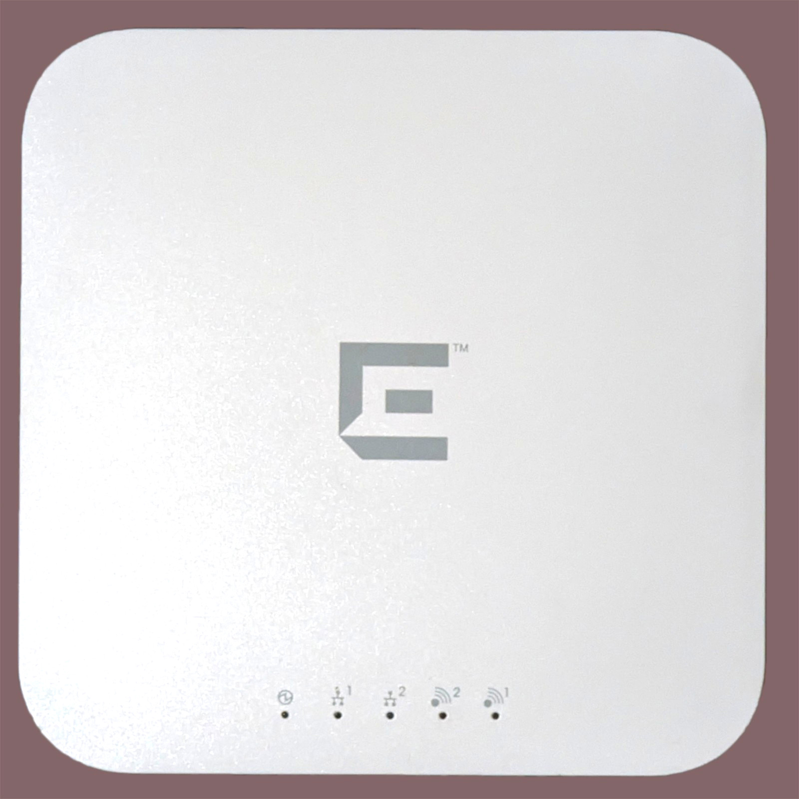 Extreme Networks WS-AP3825i Access Point Router Running OpenWRT 24