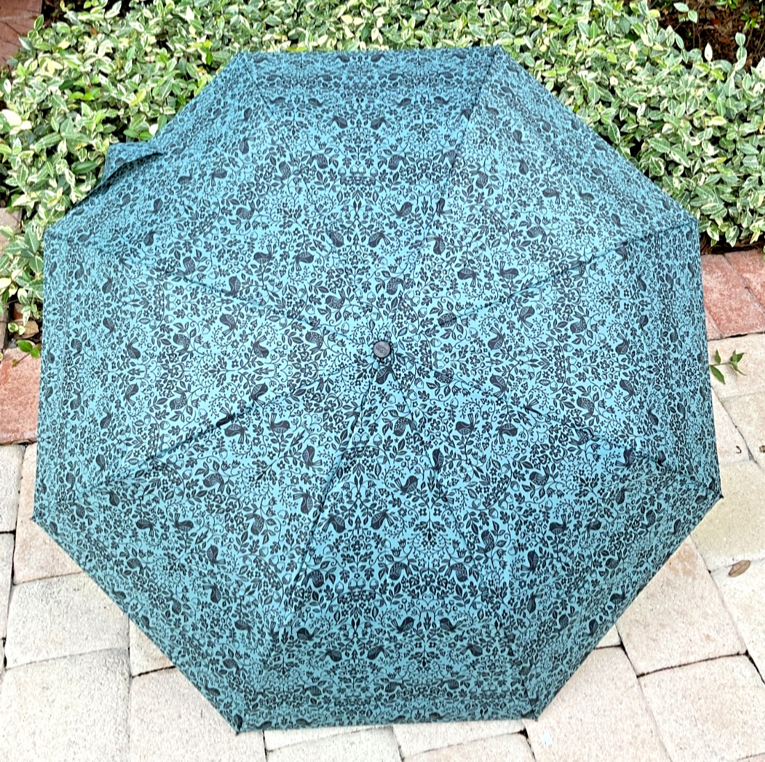 TOTES  UMBRELLA  TEAL BLACK ACORNS BIRDS FLORAL AUTO OPEN 42 INCH COVERAGE NWT