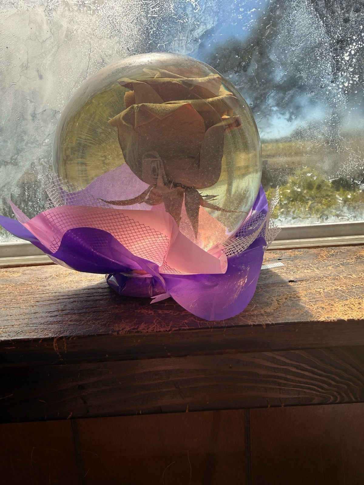 Rose In A Globe