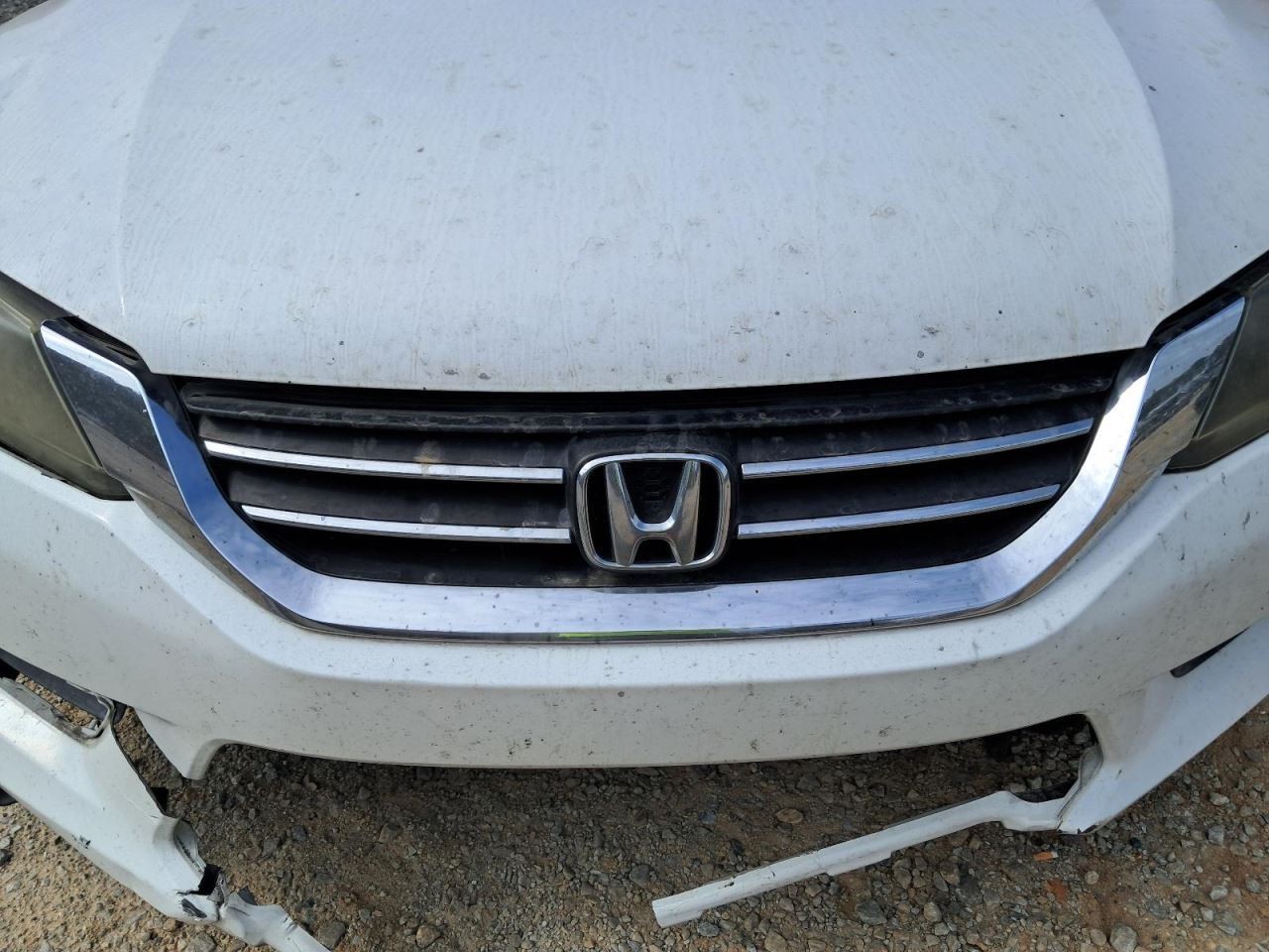 ACCORD    2015 Glove Box 4774691