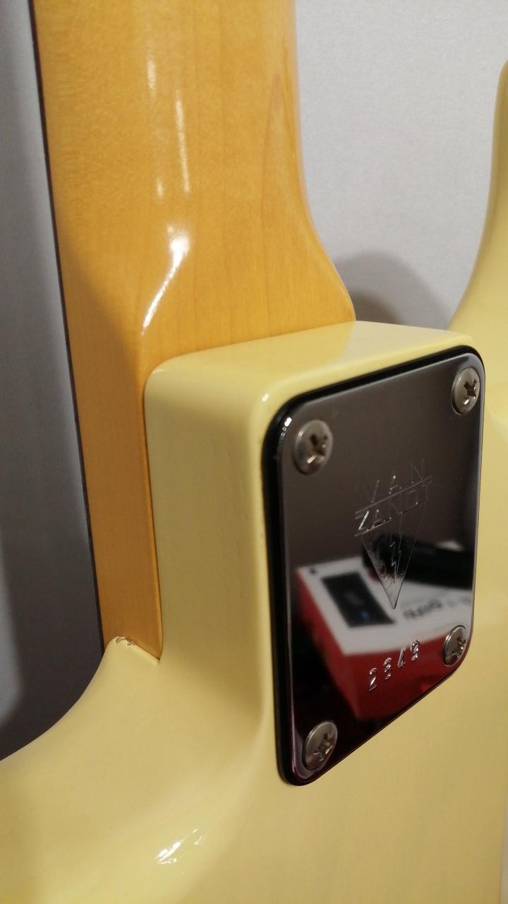 VANZANDT STV-R3 Electric Guitar