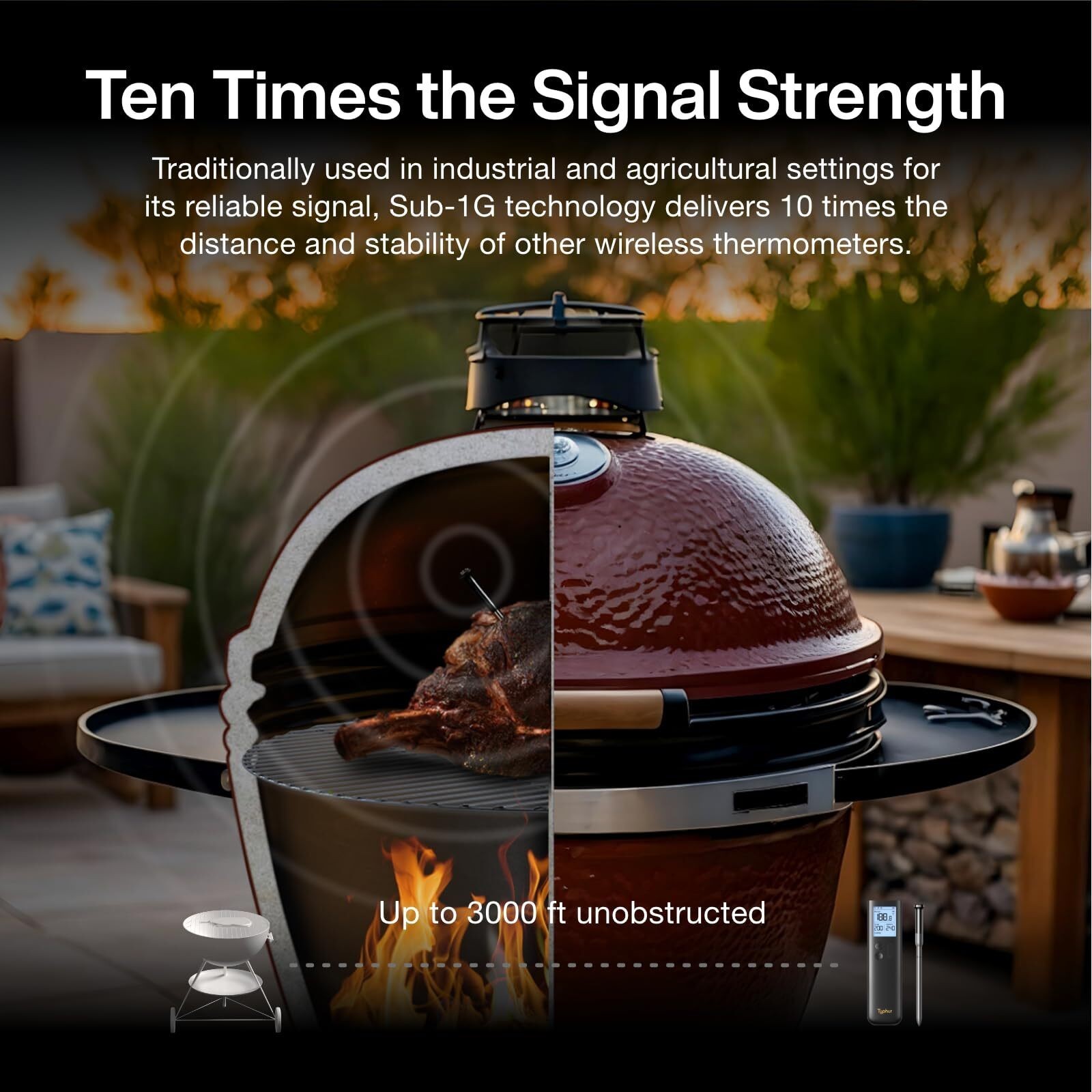 Typhur Sync Gold Lite Smart Wireless Thermometer Model WT10 in Black