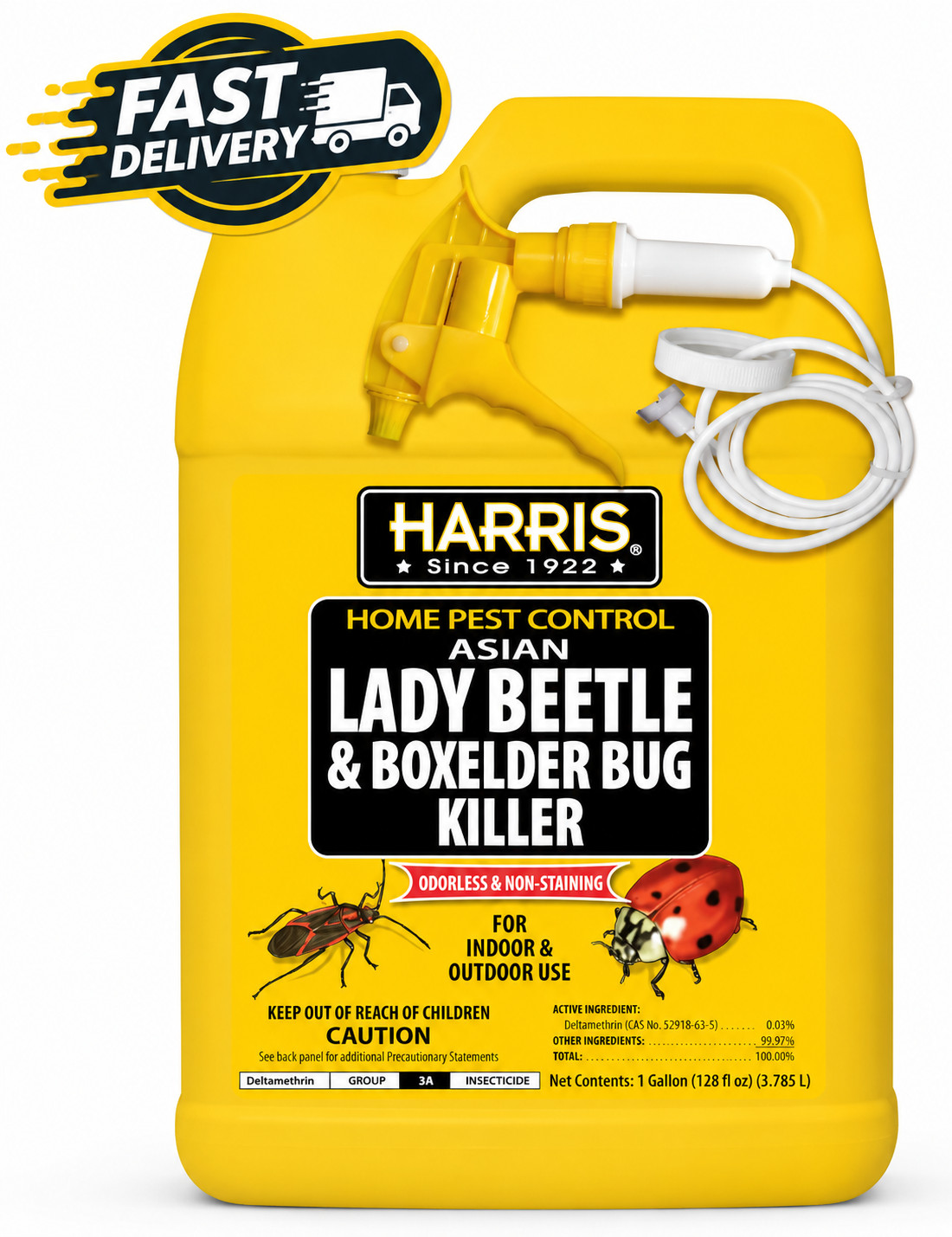Harris Asian Lady Beetle Box Elder Bug Killer Spray 1 Gallon Odorless