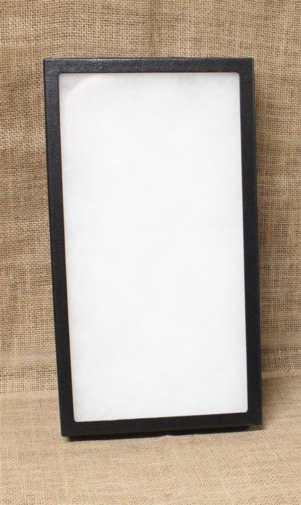 Collector's Display Case: 8 x 14 1/2 x 1 1/2" (Riker Type) - Package of 1