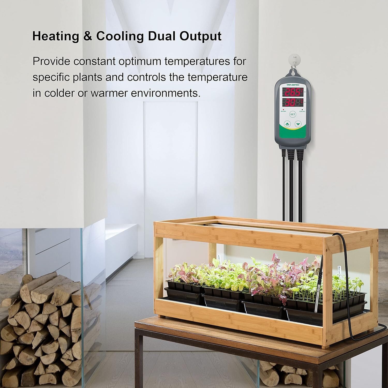 Inkbird Digital Temperature Controller WIFI 308 Programmable Thermostat Switch