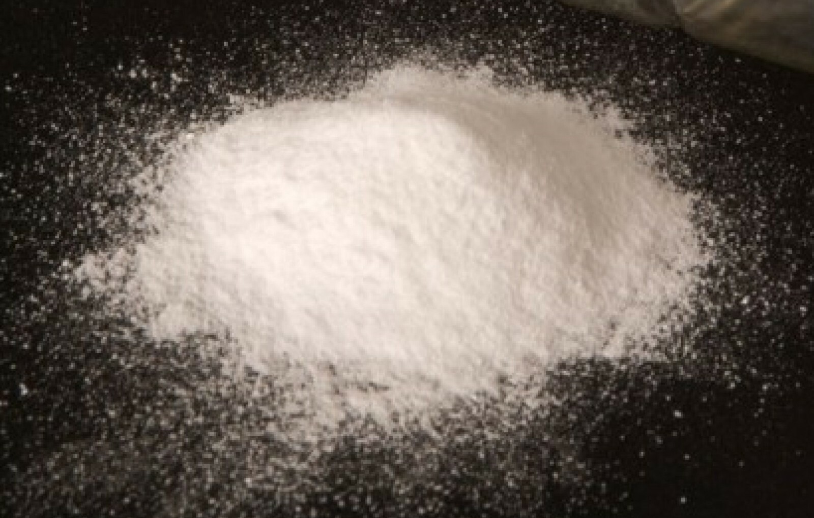 NEW 1 lbs Purified Terephthalic Acid PTA 16oz 454g WEGO Chemical TPA TA 100-21-0