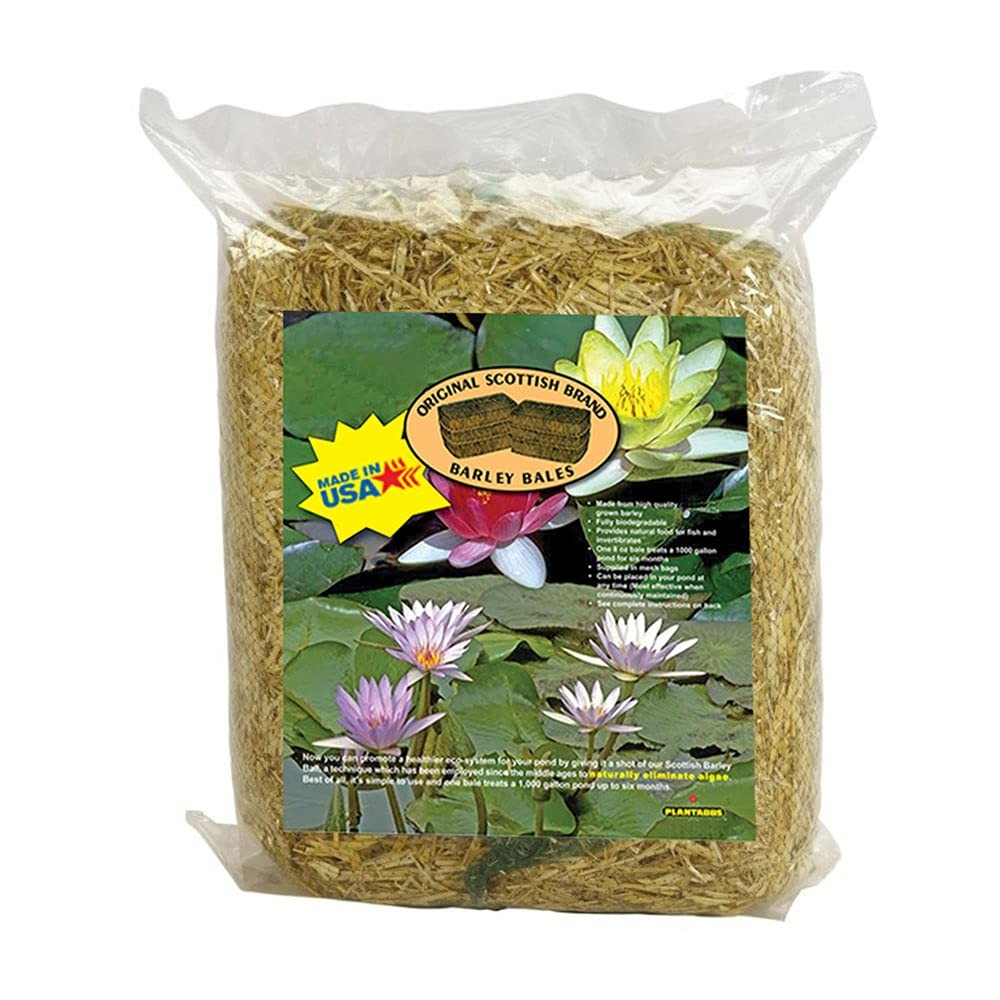 Clearwater Barley Straw Bales Pond Logs 8oz Treats 1000 Gallons For 6 Months 1p
