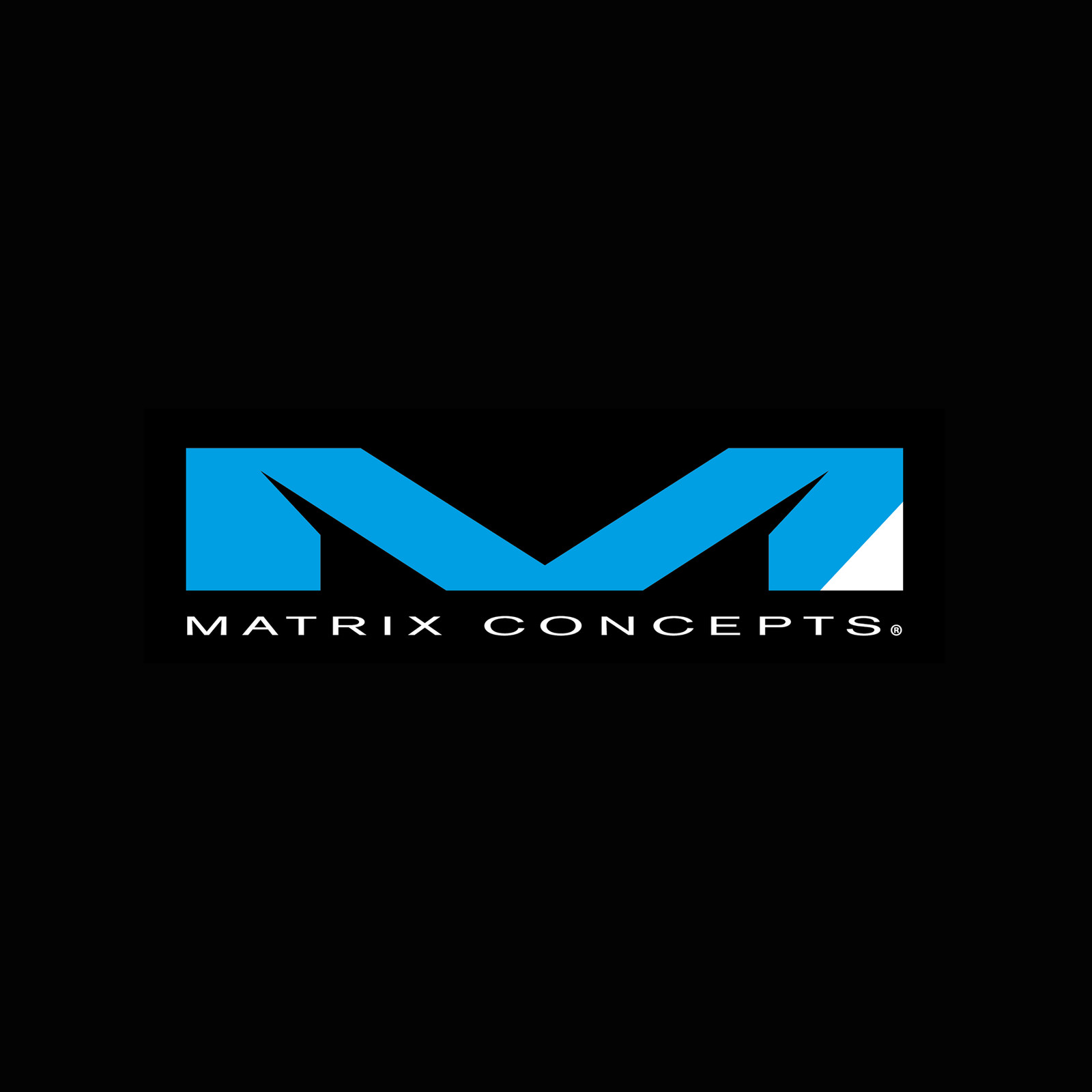 Matrix Concepts E Series 1.5 Inch Tie Down Set - Blue