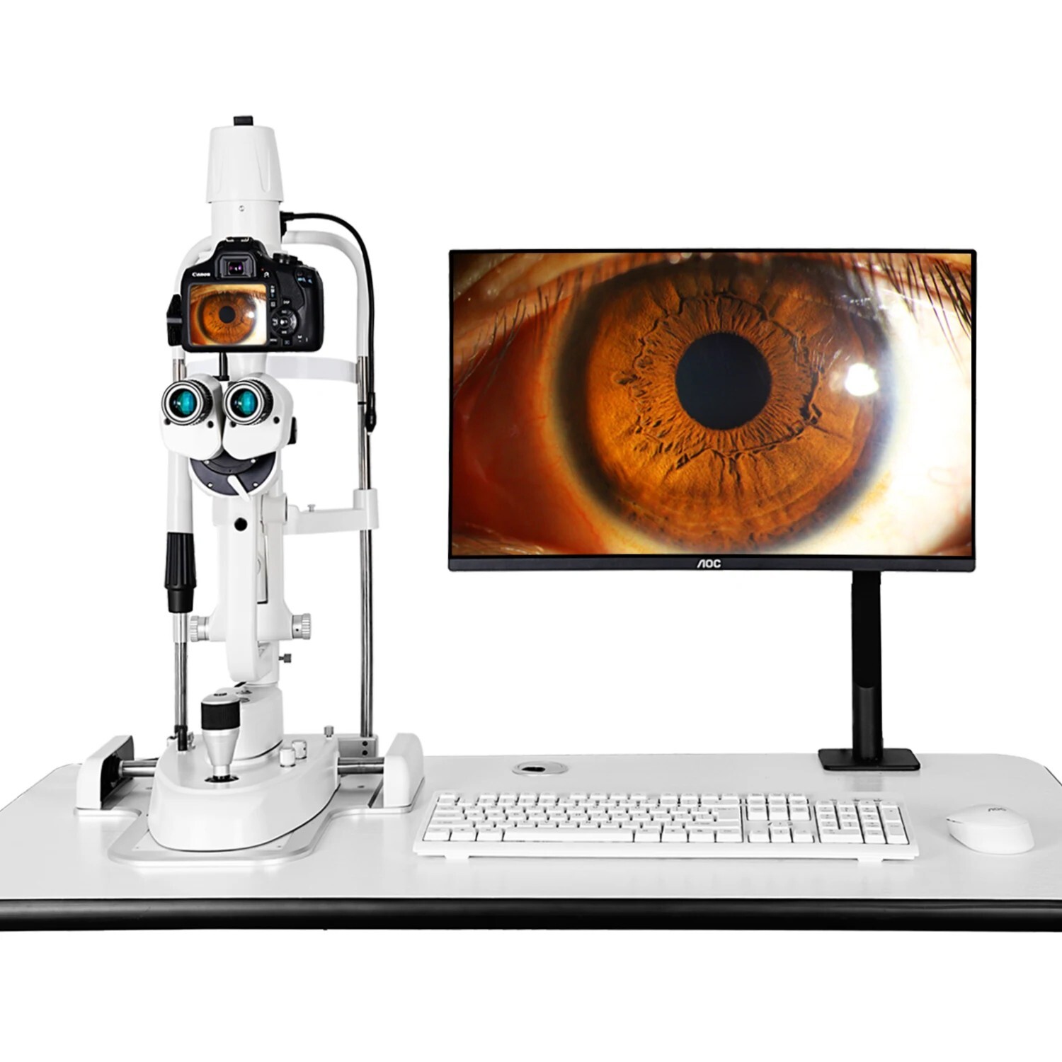 Professional Digital Slit Lamp 5-Speed LED Magnifier Ophthalmic Equipment