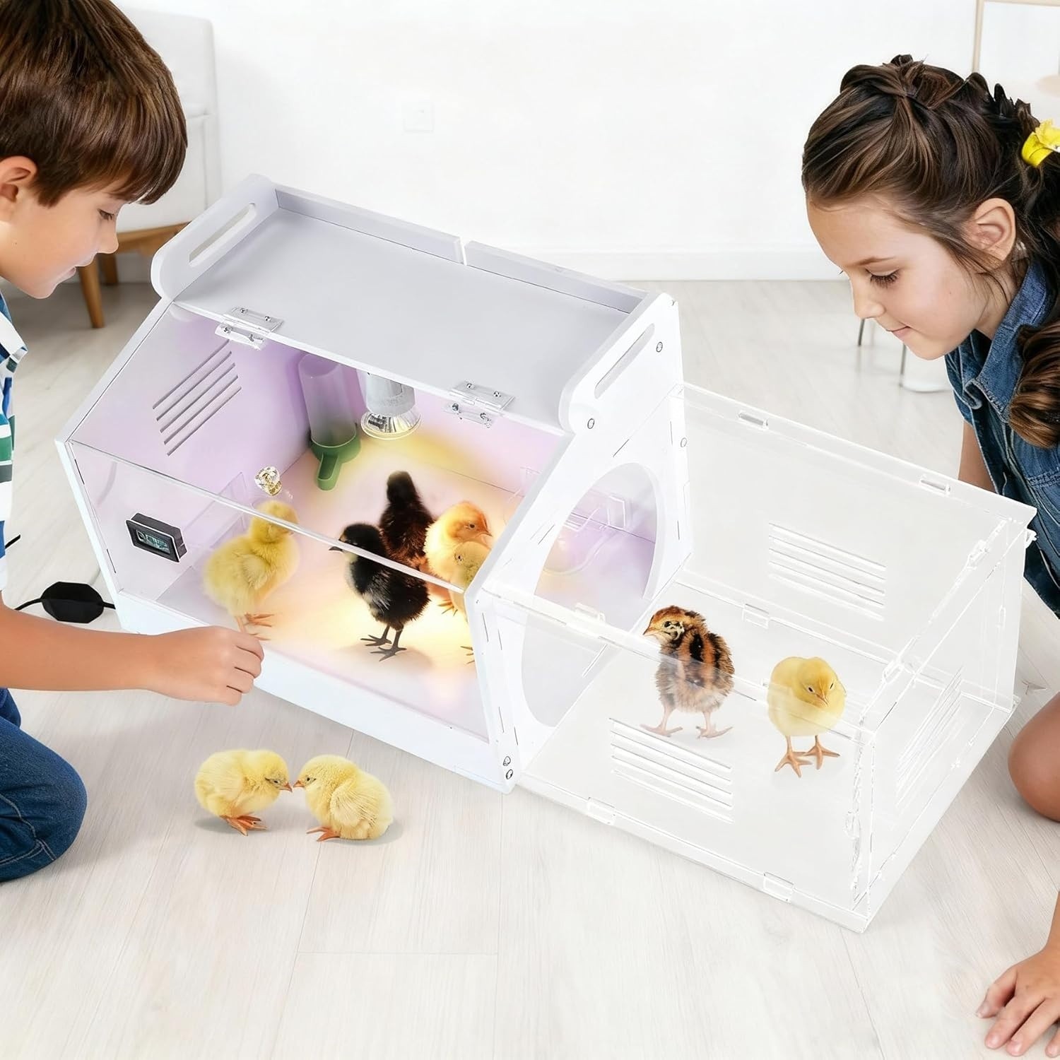 Large-Scale Chick brooder Box Quail Cage Egg Incubator Chick Starter Kit Chicken