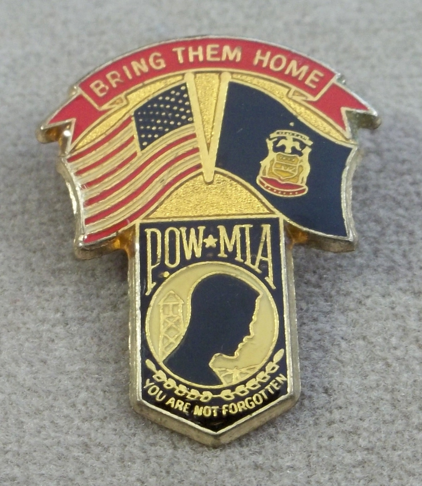 Michigan POW - MIA Bring Them Home / You Are Not Forgotten Pin