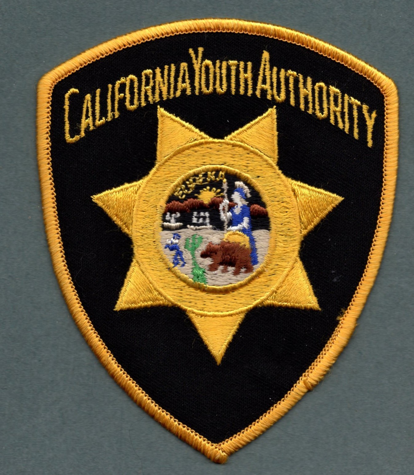 California Youth Authority Police Patch