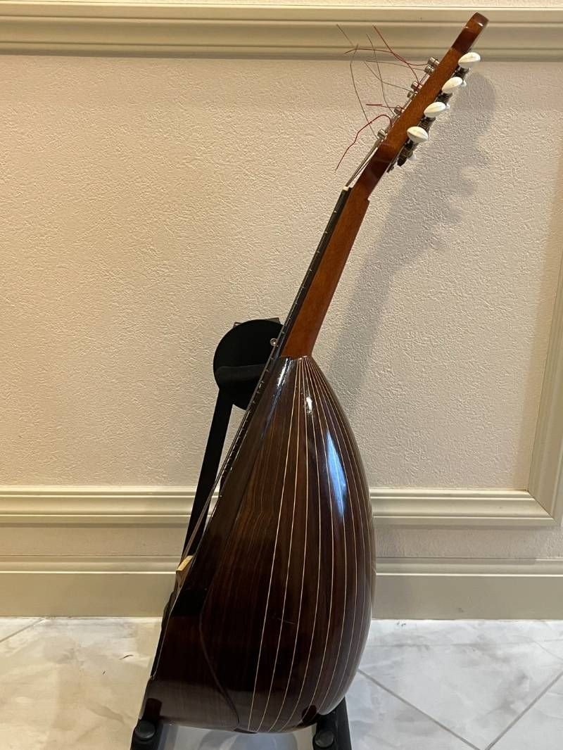 Minoru Noguchi Mandolin String Instrument with Hard Case